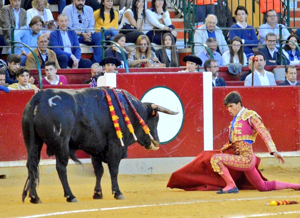 Guadalajara, sábado 6 de abril de 2019.
