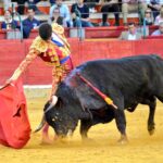 Zaragoza, domingo 28 de abril de 2019