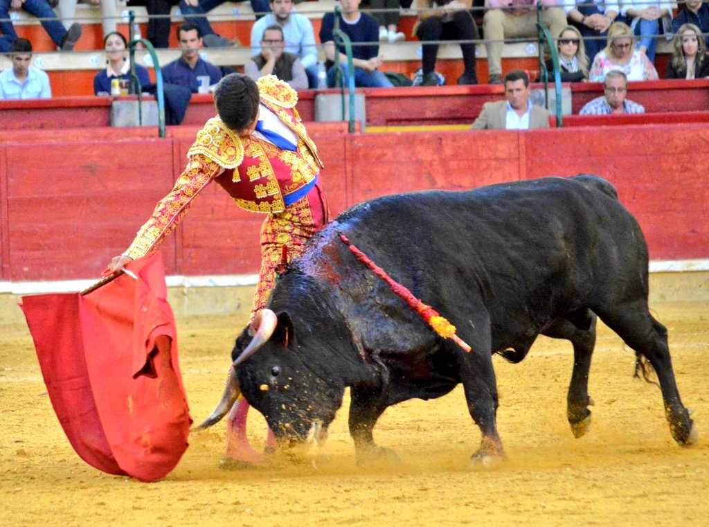 Zaragoza, domingo 28 de abril de 2019