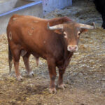 Sorteo, Zaragoza 27 de abril de 2019