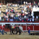 Brihuega, sábado 27 de abril de 2019