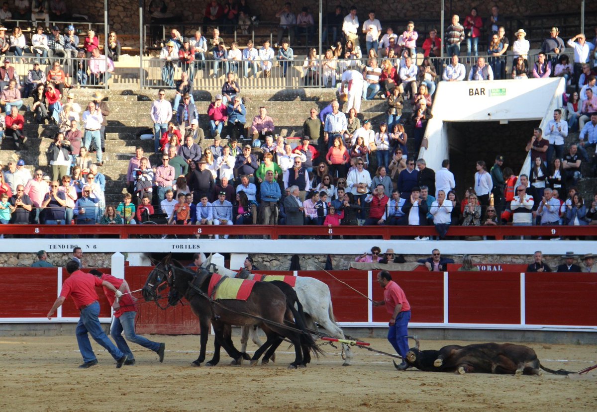 Brihuega, sábado 27 de abril de 2019