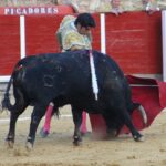 Brihuega, sábado 27 de abril de 2019