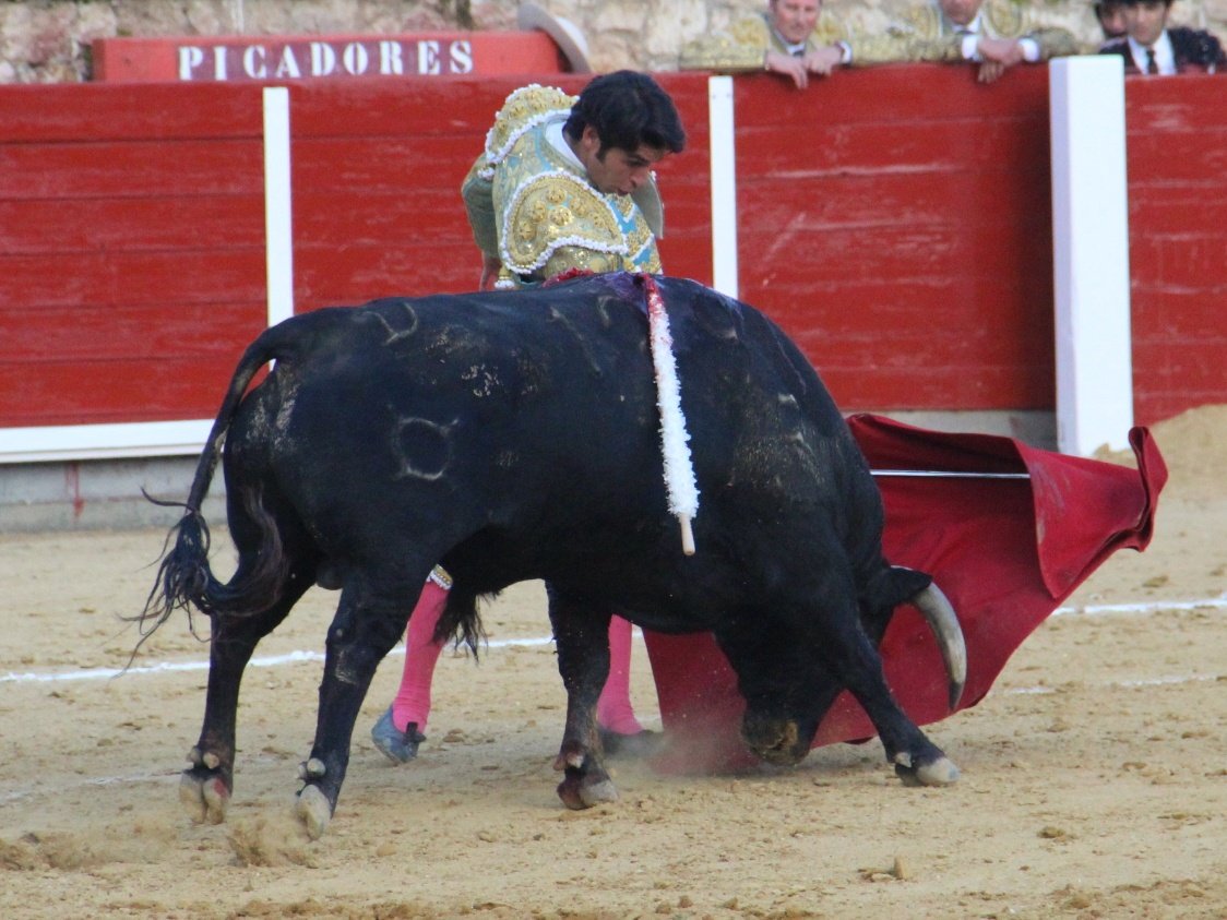 Brihuega, sábado 27 de abril de 2019