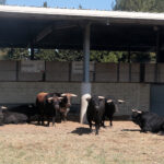 Garcigrande y Domingo Hernández