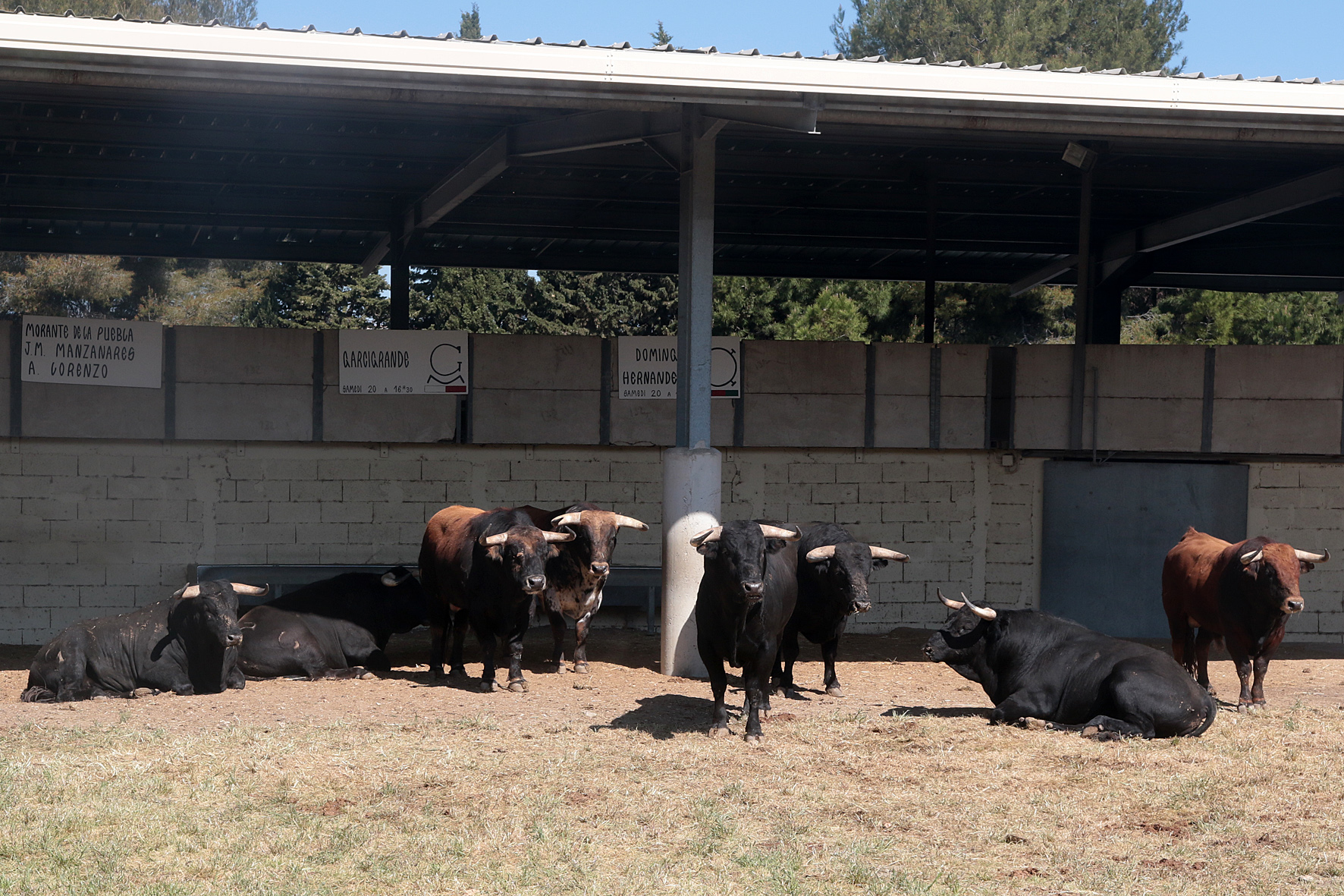 Garcigrande y Domingo Hernández