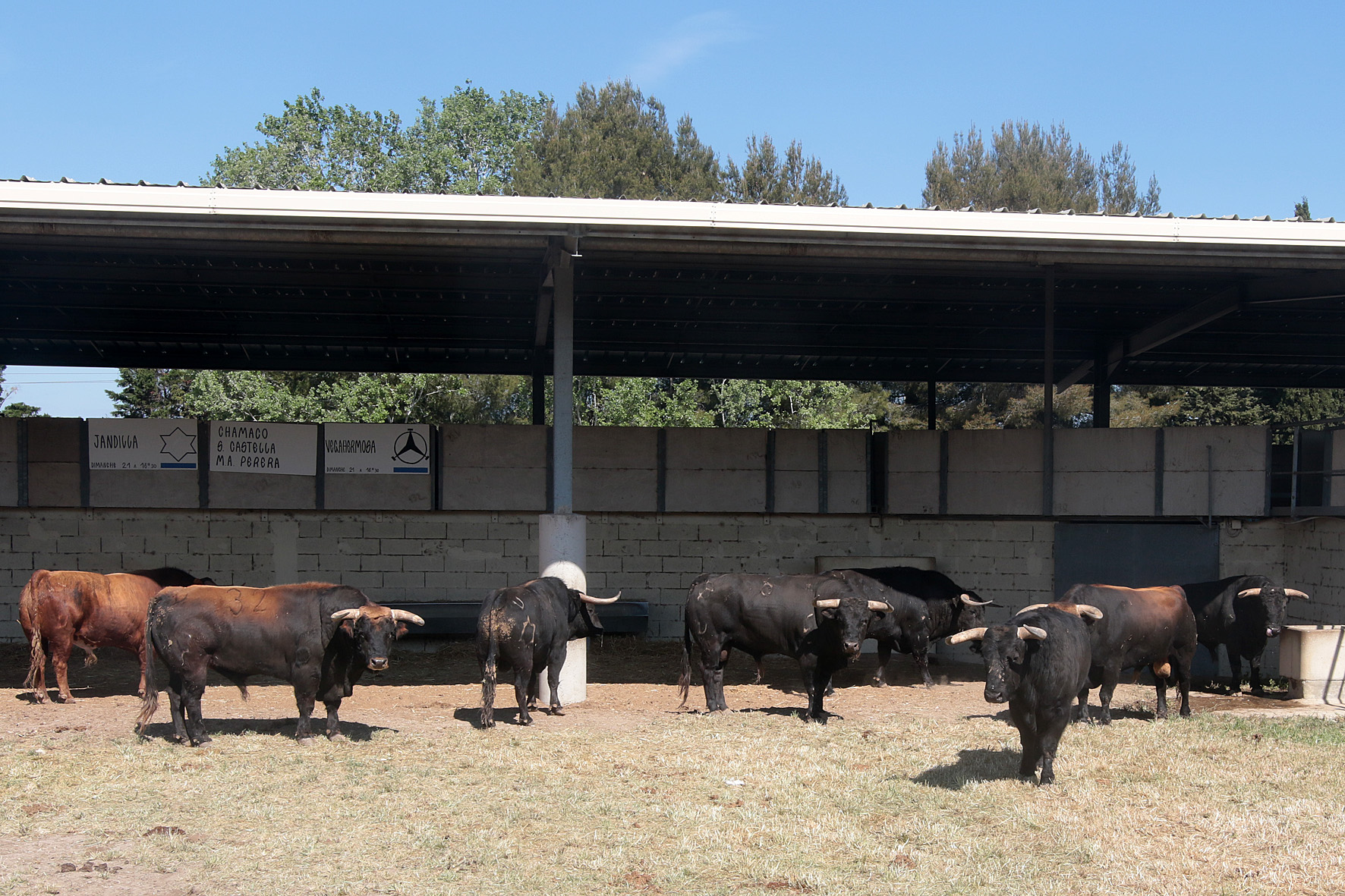 Jandilla y Vegahermosa