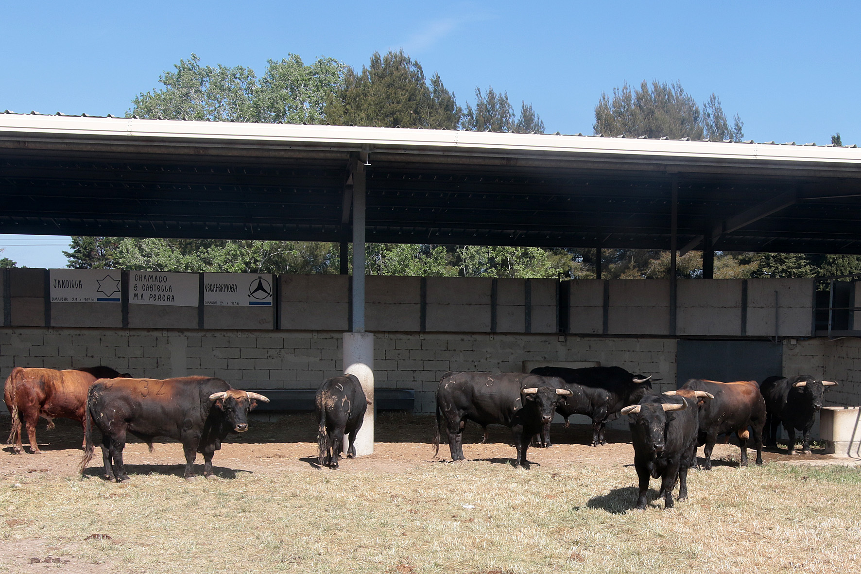 Jandilla y Vegahermosa