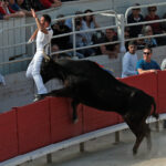 Corrida camarguesa celebrada en Arles el 19 de abril de 2019