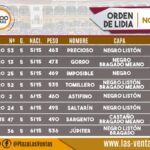 Novillos de Sánchez Herrero para Las Ventas