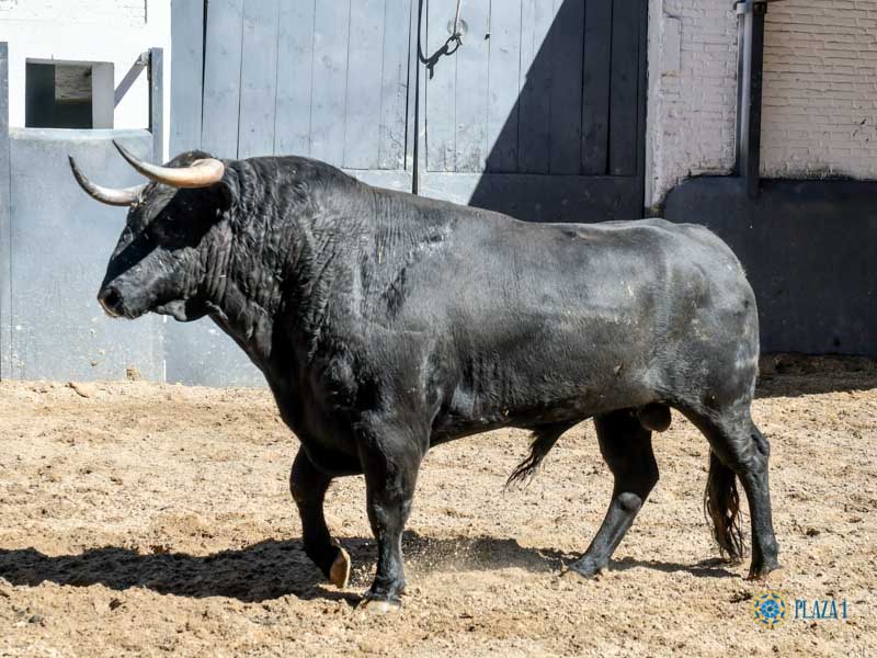 Sorteo, Madrid 27 de abril de 2019