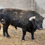 Sorteo, Zaragoza 27 de abril de 2019