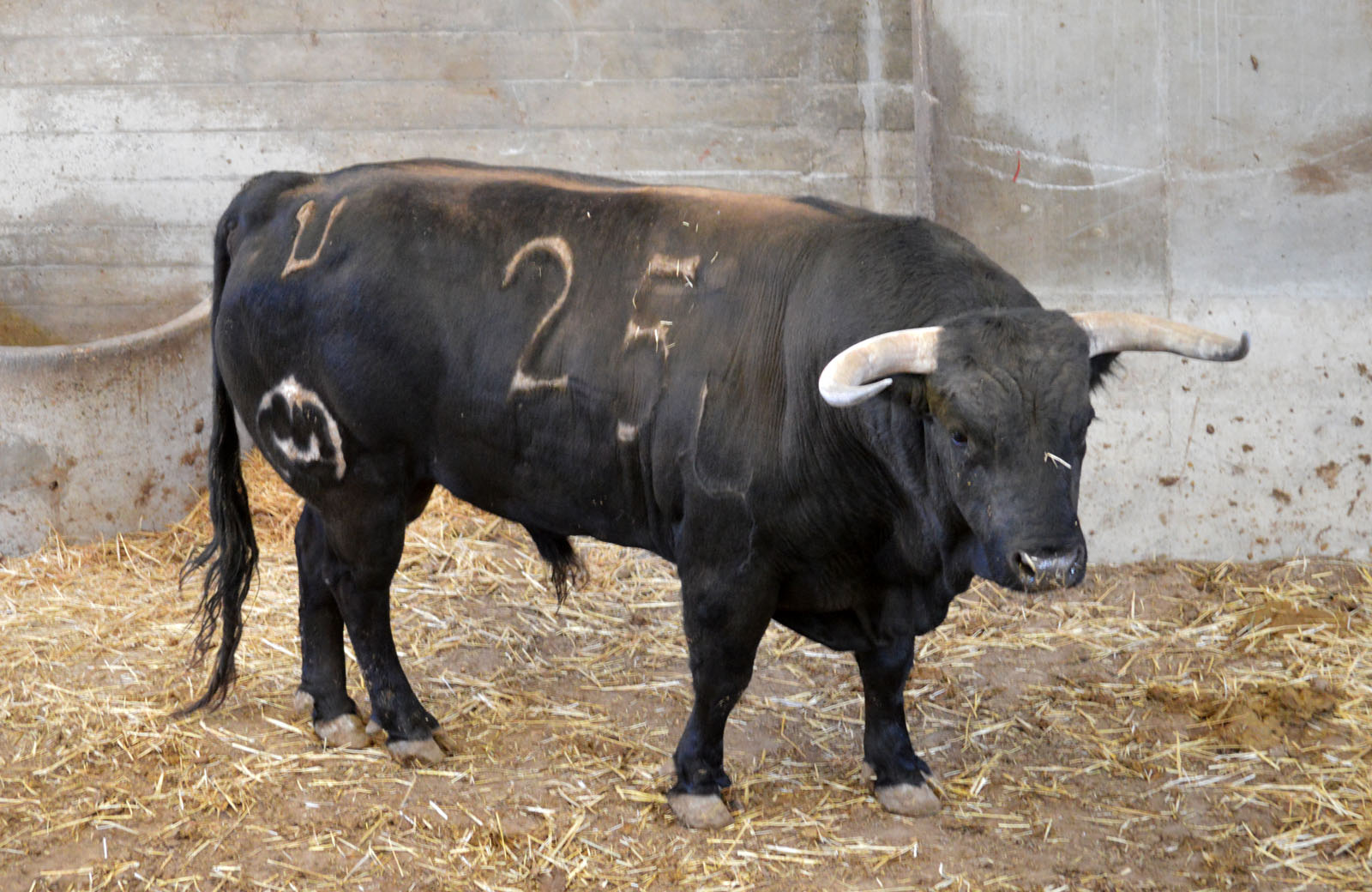 Sorteo, Zaragoza 27 de abril de 2019