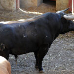 Sorteo, Zaragoza 27 de abril de 2019