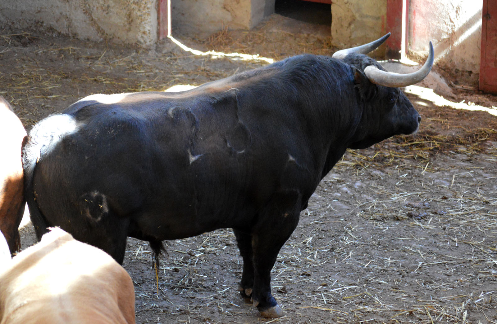 Sorteo, Zaragoza 27 de abril de 2019