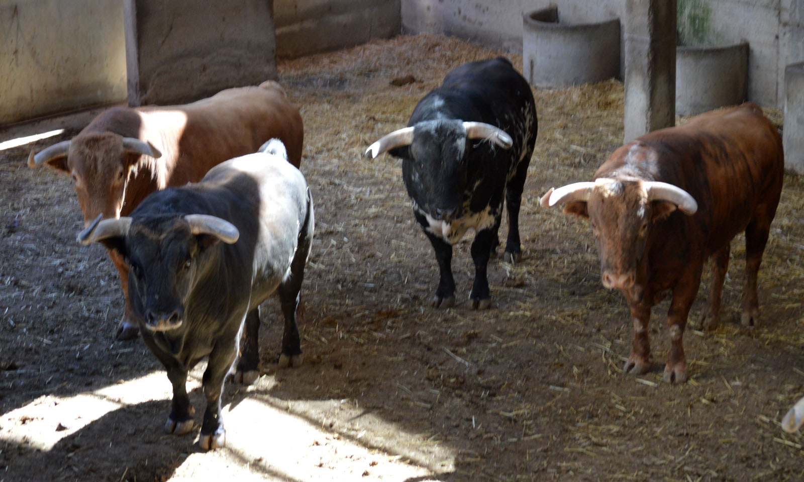 Sorteo, Zaragoza 27 de abril de 2019