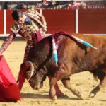 Brihuega, sábado 27 de abril de 2019