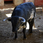 Sorteo, Zaragoza 27 de abril de 2019