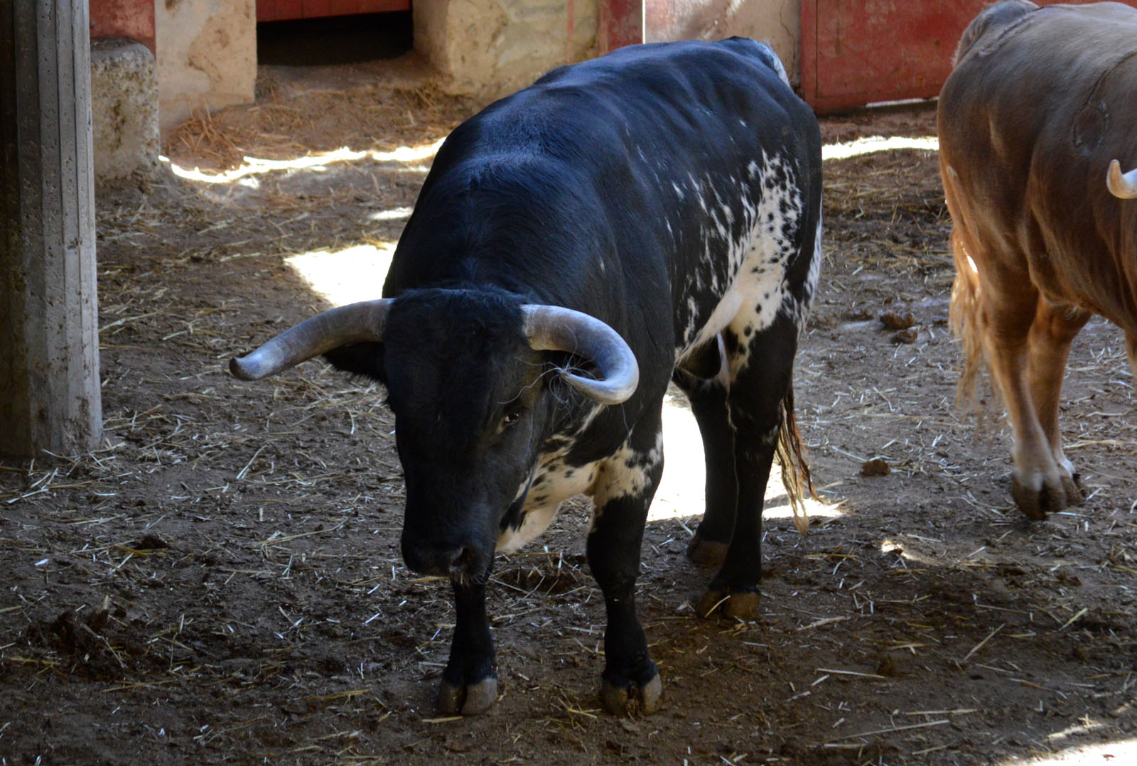 Sorteo, Zaragoza 27 de abril de 2019