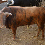 Sorteo, Zaragoza 27 de abril de 2019