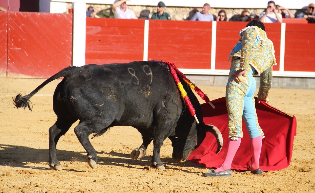 Brihuega, sábado 27 de abril de 2019