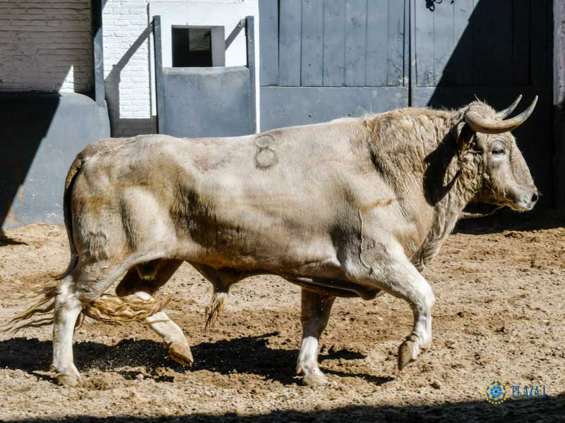 Sorteo, Madrid 27 de abril de 2019