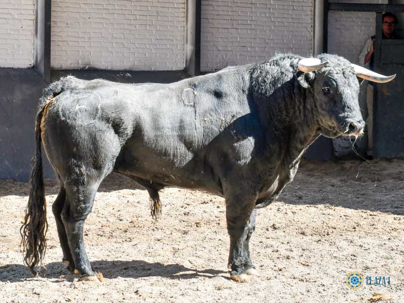 Sorteo, Madrid 27 de abril de 2019