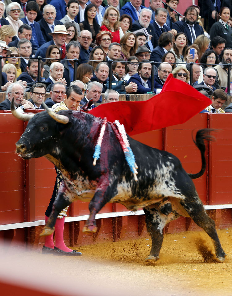Sevilla, domingo 21 de abril de 2019