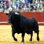 Sevilla, domingo 21 de abril de 2019