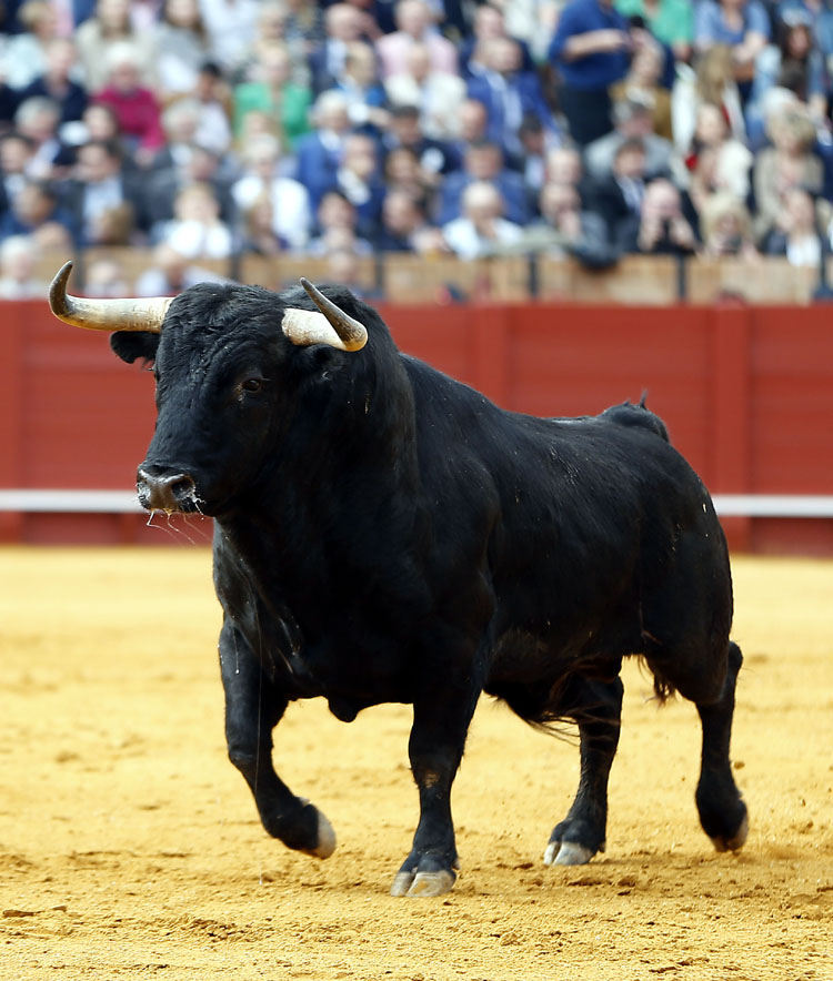 Sevilla, domingo 21 de abril de 2019