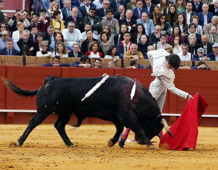 Sevilla, domingo 21 de abril de 2019