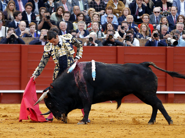 Sevilla, domingo 21 de abril de 2019