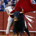 Sevilla, domingo 21 de abril de 2019
