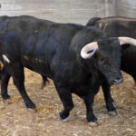 Sorteo, Zaragoza 27 de abril de 2019