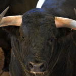 Sorteo, Zaragoza 27 de abril de 2019