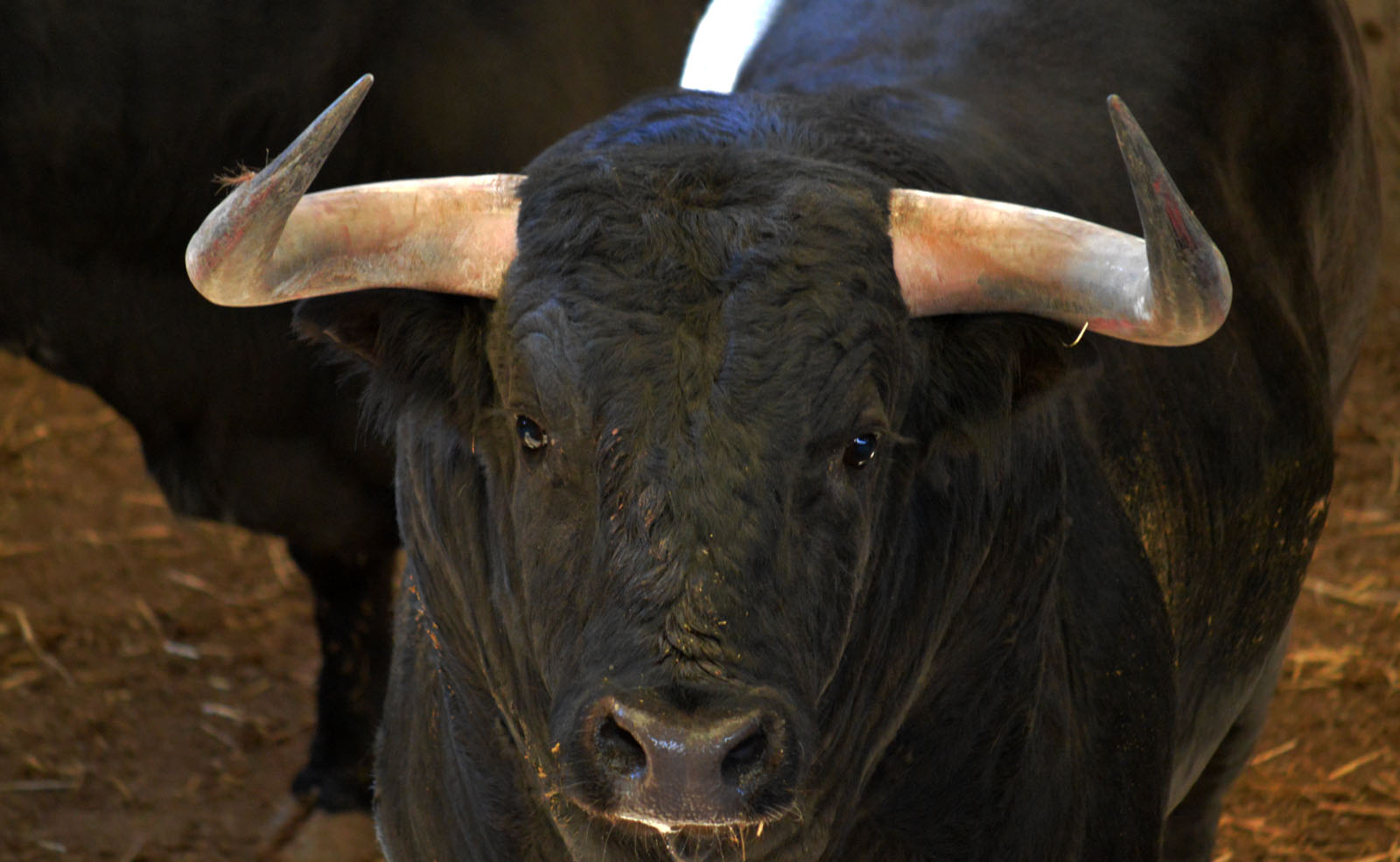 Sorteo, Zaragoza 27 de abril de 2019