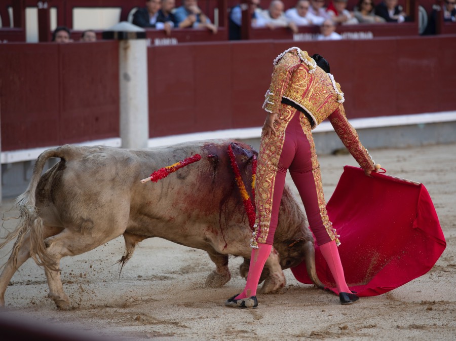 Madrid, domingo 28 de abril de 2019.