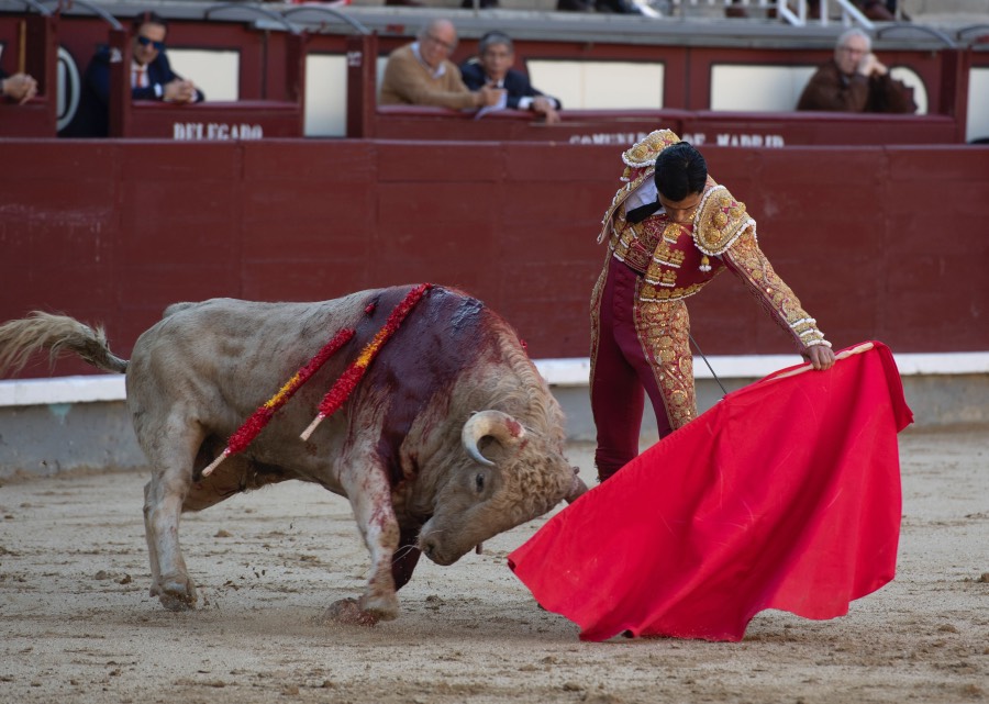 Madrid, domingo 28 de abril de 2019.