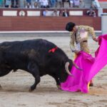 Madrid, domingo 28 de abril de 2019.