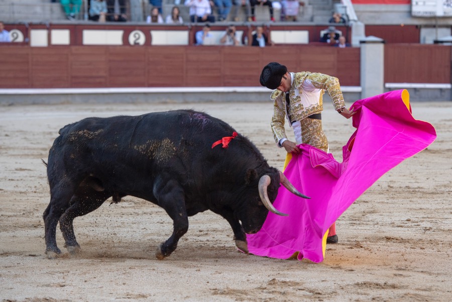 Madrid, domingo 28 de abril de 2019.