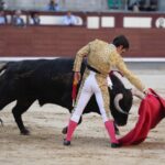 Madrid, domingo 28 de abril de 2019.