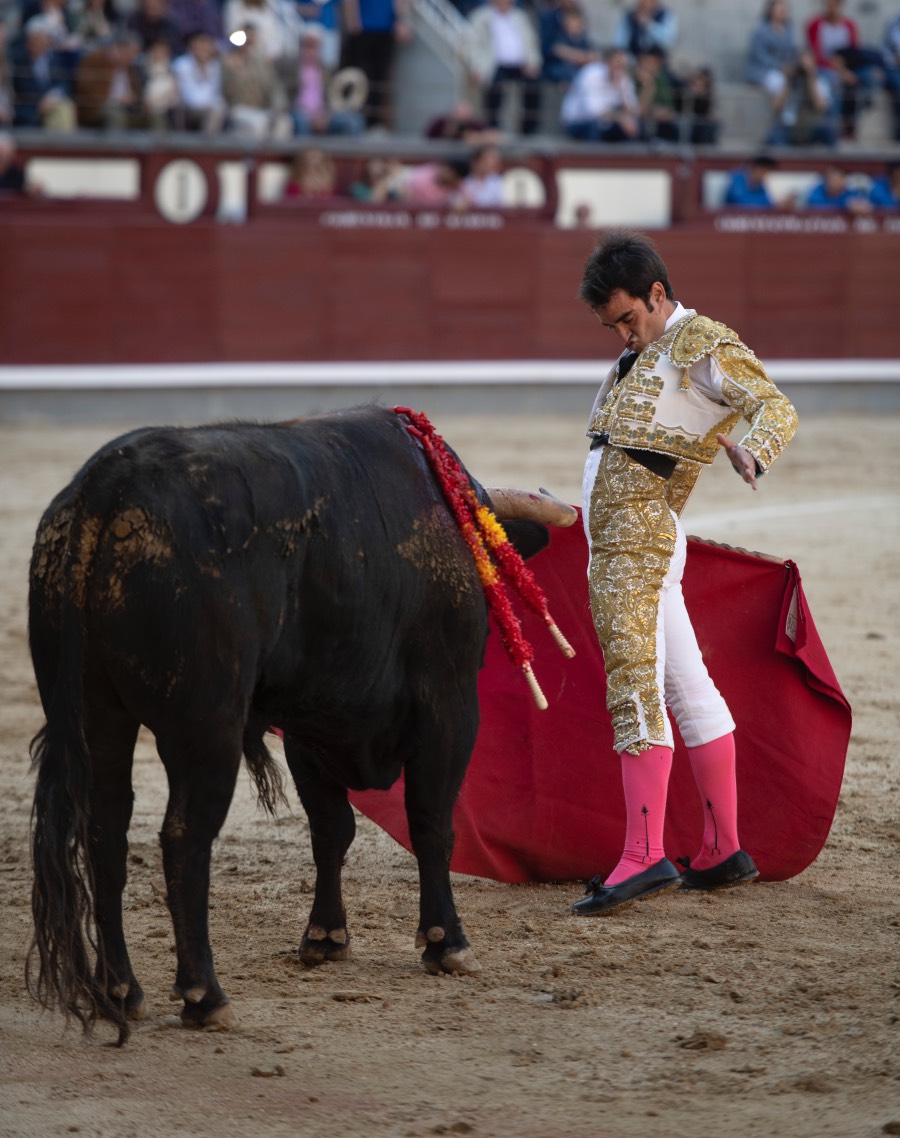 Madrid, domingo 28 de abril de 2019.