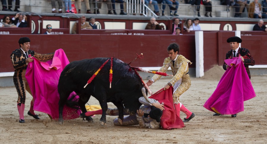 Madrid, domingo 28 de abril de 2019.