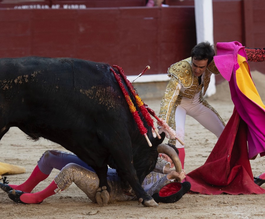 Madrid, domingo 28 de abril de 2019.