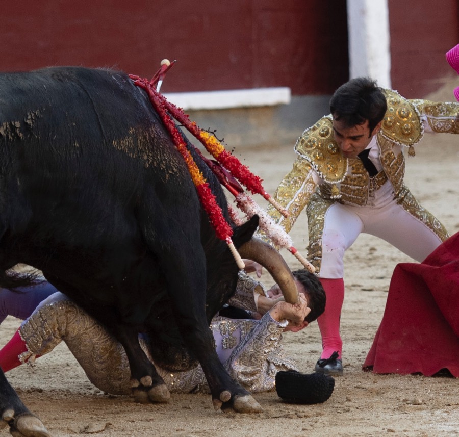 Madrid, domingo 28 de abril de 2019.
