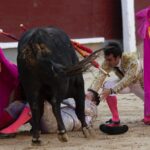 Madrid, domingo 28 de abril de 2019.