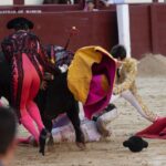 Madrid, domingo 28 de abril de 2019.