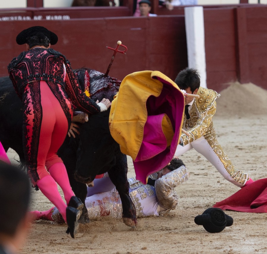 Madrid, domingo 28 de abril de 2019.