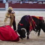 Madrid, domingo 28 de abril de 2019.