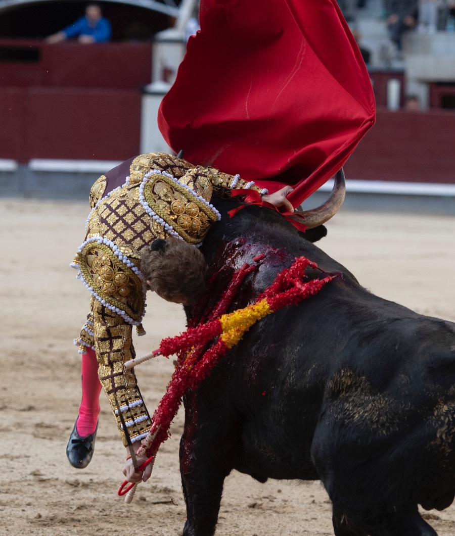 Madrid, domingo 28 de abril de 2019.